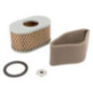 Briggs und Stratton Luftfilter – 797033
