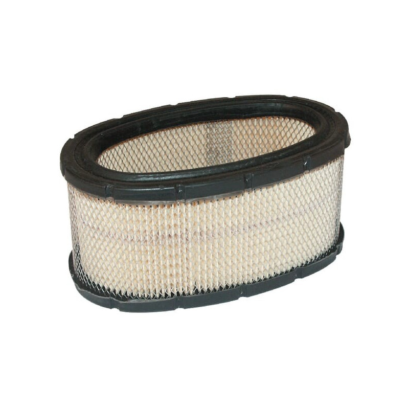 Filtro dell'aria Briggs e Stratton - 393725