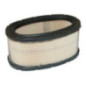 Filtro de aire Briggs y Stratton - 393725