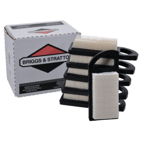 Filtro dell'aria Briggs e Stratton - 4213