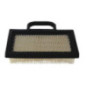 Filtro dell'aria Briggs e Stratton - 4223