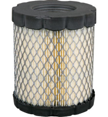 Filtro dell'aria Briggs e Stratton - 4250