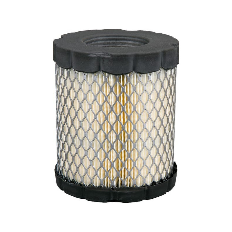 Briggs und Stratton Luftfilter – 4250