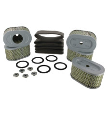 Filtro de aire Briggs y Stratton - 4239