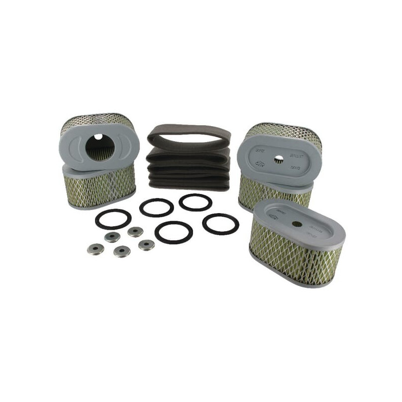 Filtro de aire Briggs y Stratton - 4239