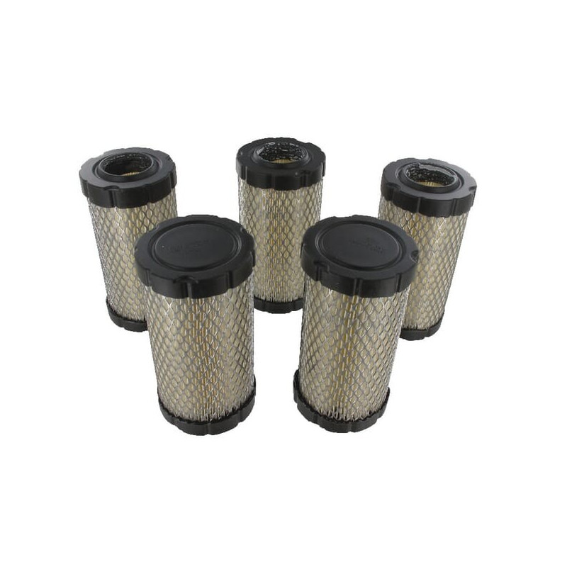 Luftfilter Briggs und Stratton - 4241
