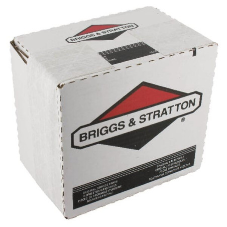 Filtre à air Briggs et Stratton - 4245