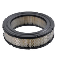 Filtro de aire Briggs y Stratton - 4232