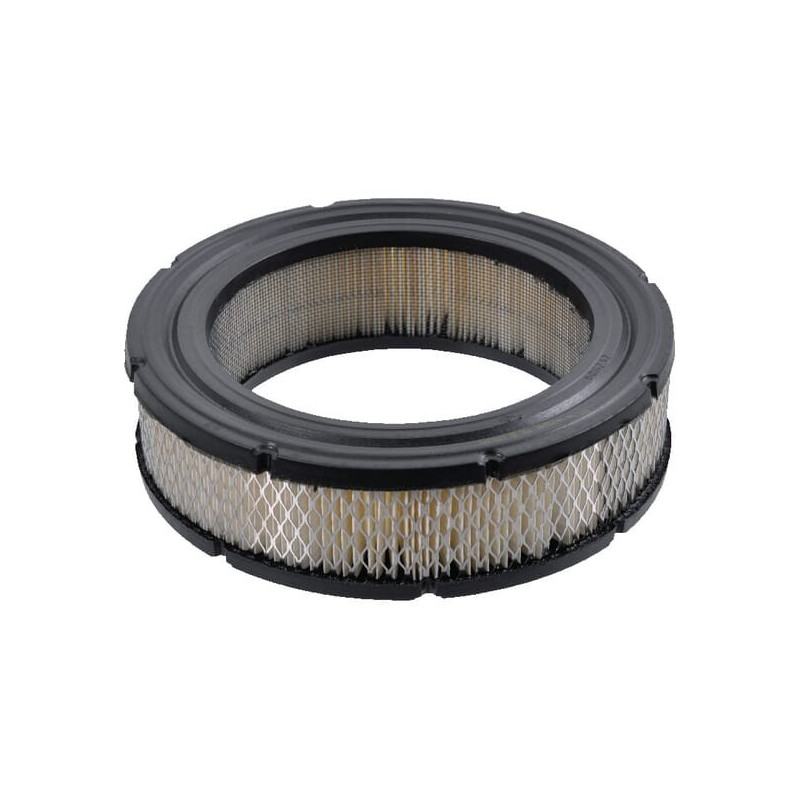 Luftfilter Briggs und Stratton - 4232