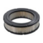 Luftfilter Briggs und Stratton - 4232