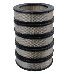 Briggs and Stratton Air Filter - 4232 2