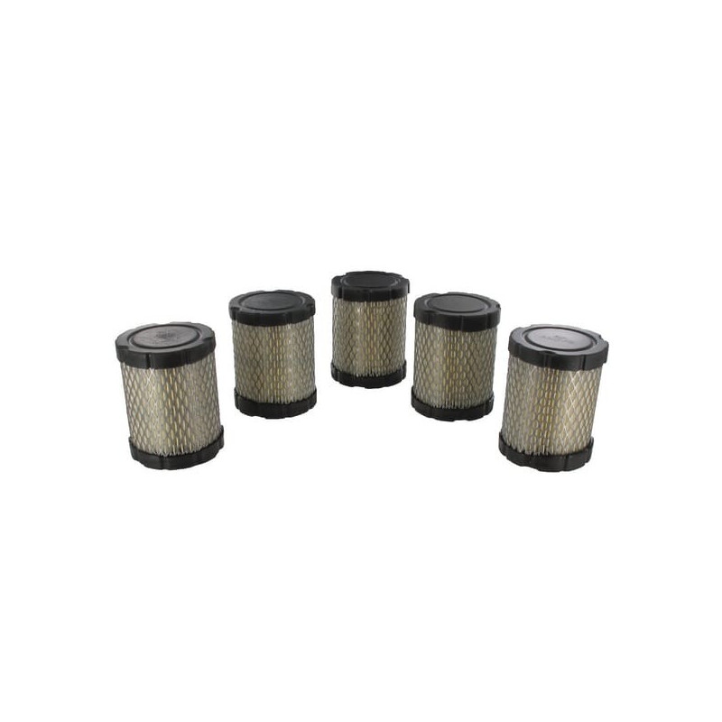 Luftfilter Briggs und Stratton - 4269