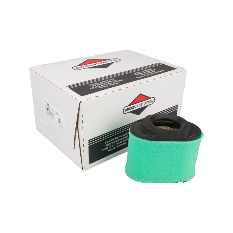 Luftfilter Briggs und Stratton - 4233