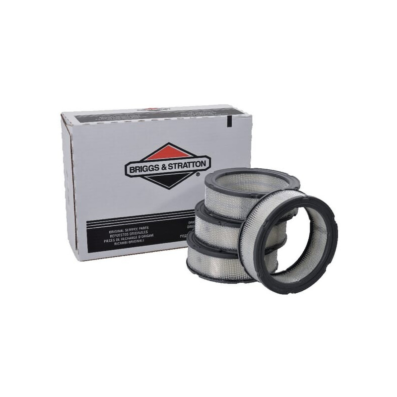 Filtro de aire Briggs y Stratton - 4135