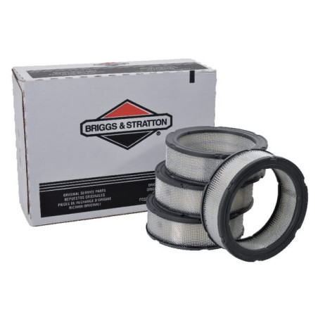 Filtro de aire Briggs y Stratton - 4135