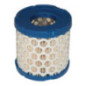 Briggs and Stratton Air Filter - 396424S