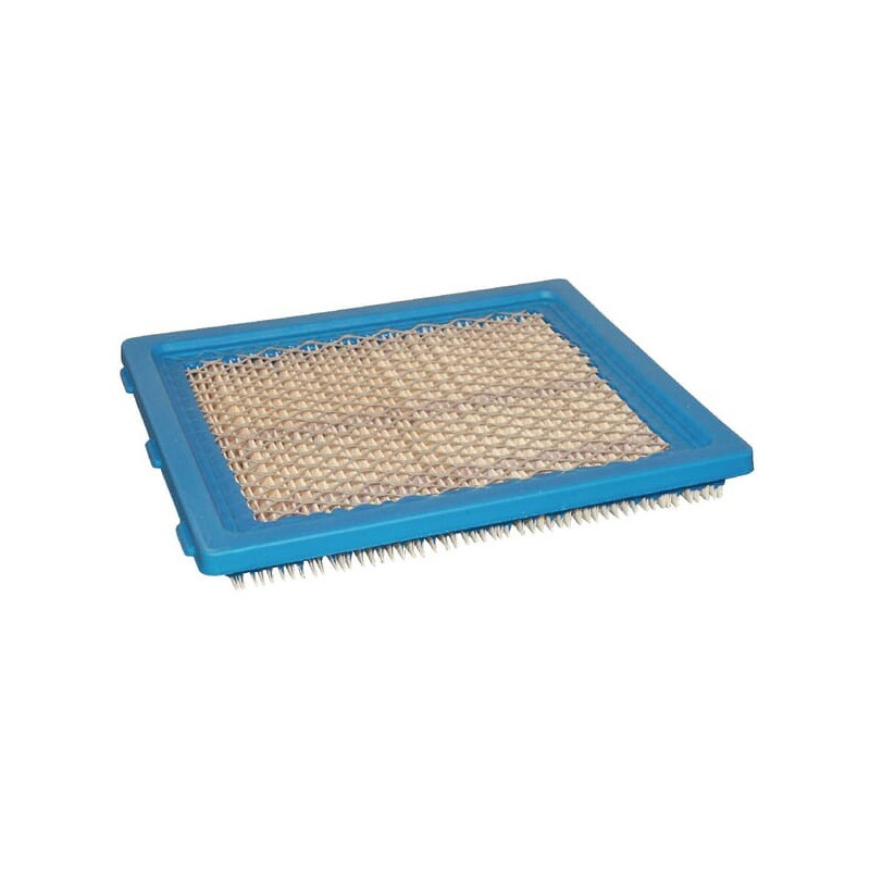 Luftfilter Briggs und Stratton - 805113