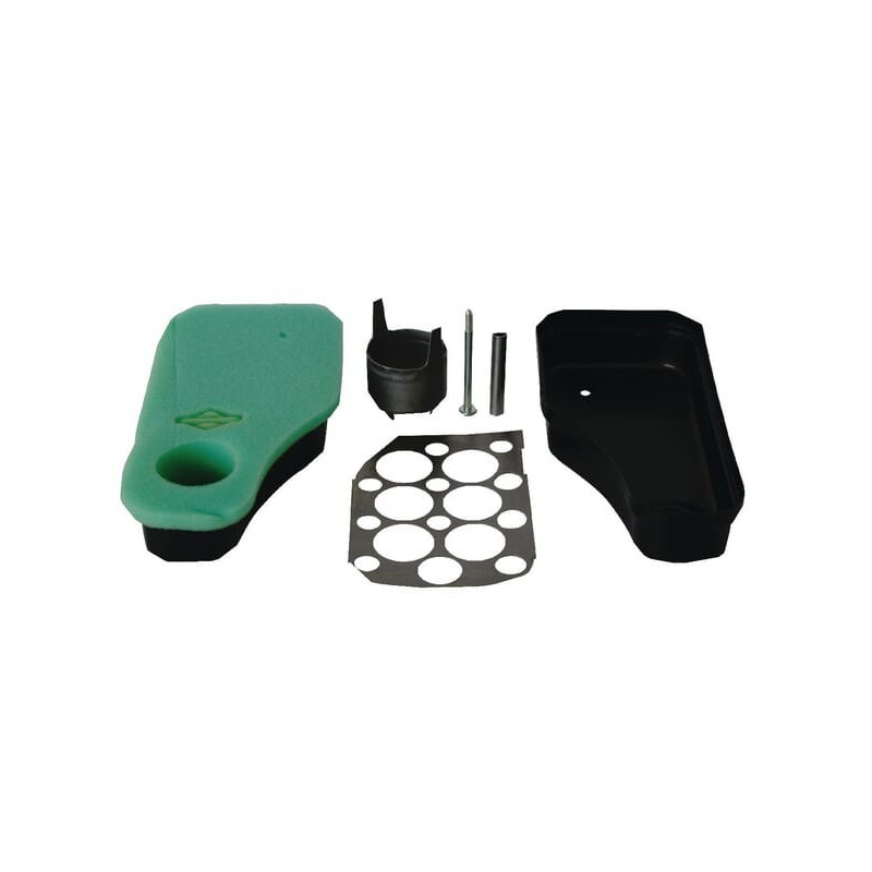 Luftfilter Briggs und Stratton - 591546