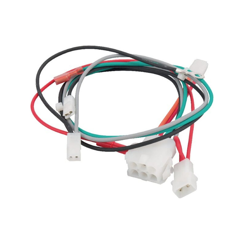 Arnés eléctrico Briggs y Stratton - 698329