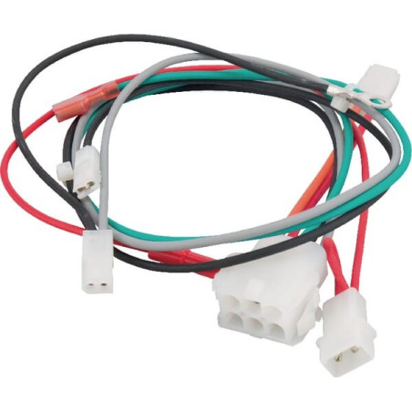 Arnés de cables Briggs and Stratton - 698329