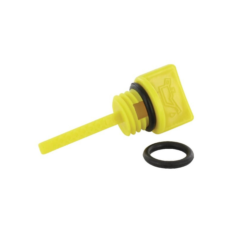 Joint et jauge Briggs et Stratton - 797325