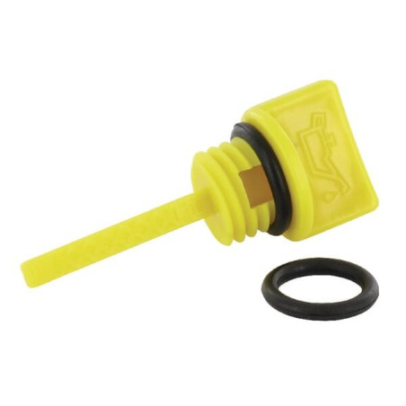 Joint et jauge Briggs et Stratton - 797325
