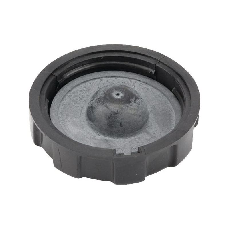 Tampão do depósito Briggs et Stratton - 710490