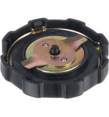 Tampa de combustível Briggs and Stratton - 699840 2