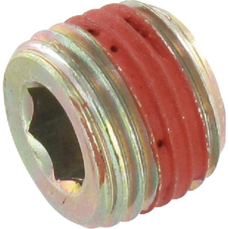 Boné Briggs e Stratton - 690343