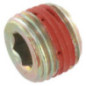 Briggs und Stratton Verschluss - 690343