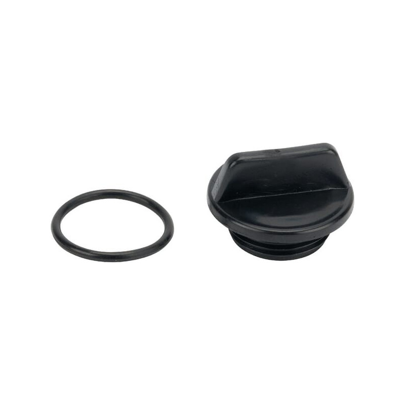 Briggs and Stratton Cap - 198155GS