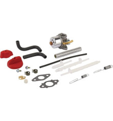 Briggs and Stratton Carburetor - 798917