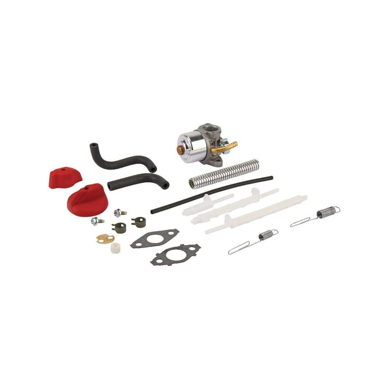 Carburatore Briggs e Stratton - 798917