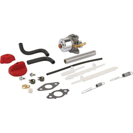 Carburatore Briggs e Stratton - 798917