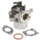 Carburatore Briggs e Stratton - 797736