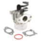 Carburatore Briggs e Stratton - 797736