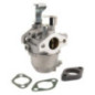 Carburateur Briggs et Stratton - 715473