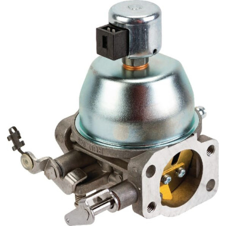 Carburatore Briggs e Stratton - 847050