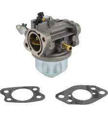 Carburateur Briggs et Stratton - 847049