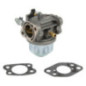 Carburateur Briggs et Stratton - 847049