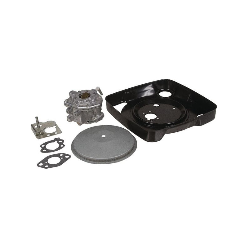 Carburatore Briggs e Stratton - 846109