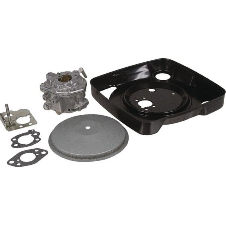 Carburatore Briggs e Stratton - 846109