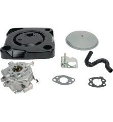 Carburatore Briggs e Stratton - 846082