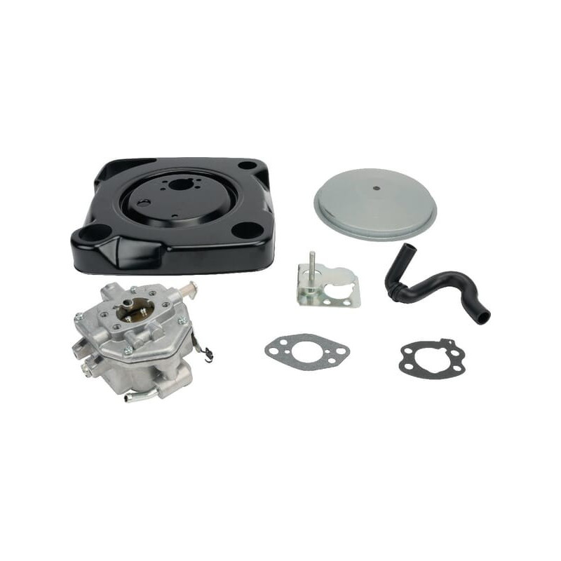 Carburatore Briggs et Stratton - 846082