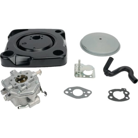 Carburatore Briggs e Stratton - 846082