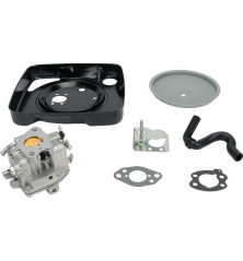 Carburatore Briggs e Stratton - 846082 2