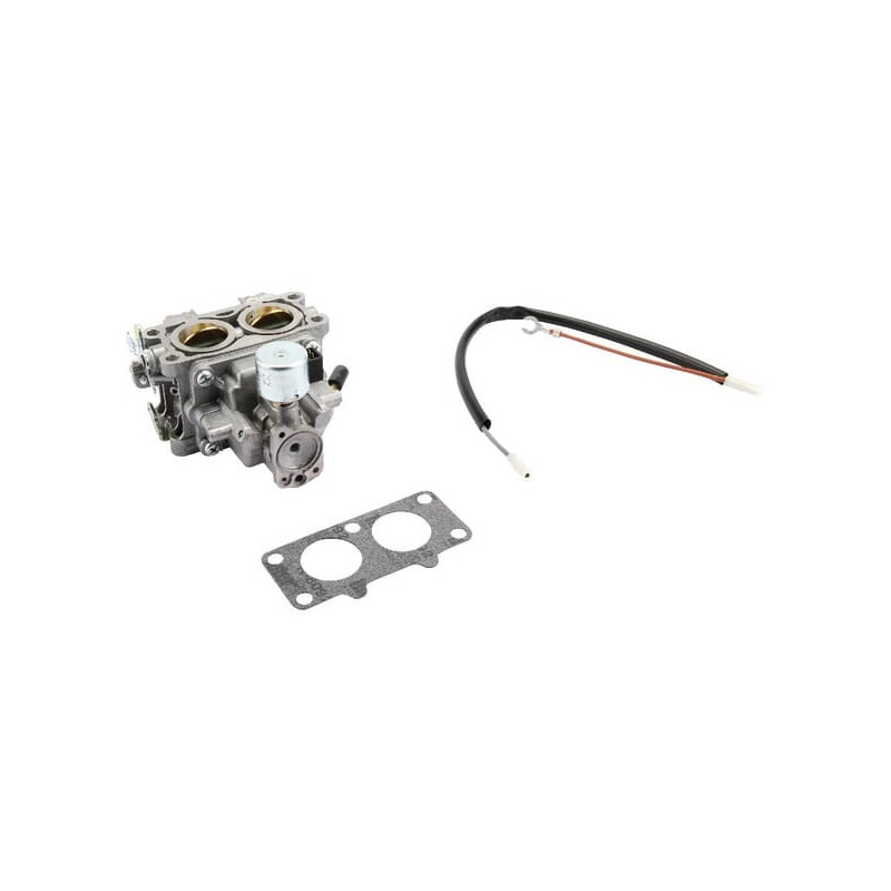 Carburatore Briggs et Stratton - 845199