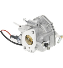 Carburateur Briggs et Stratton - 845015