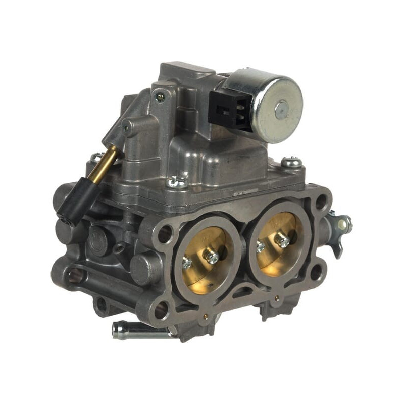 Carburatore Briggs et Stratton - 844370
