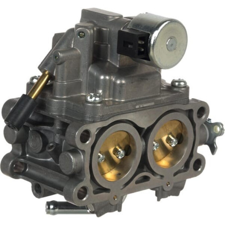 Carburatore Briggs e Stratton - 844370